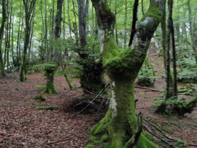 Parque Natural de Urkiola;parque natural sierra de mariola viaje picos de europa puente san isidro s